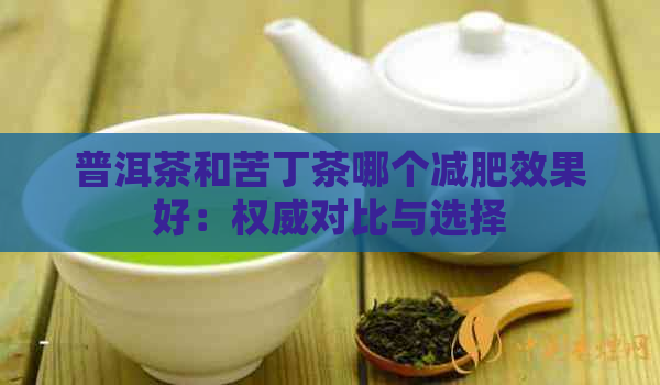 普洱茶和苦丁茶哪个减肥效果好：权威对比与选择