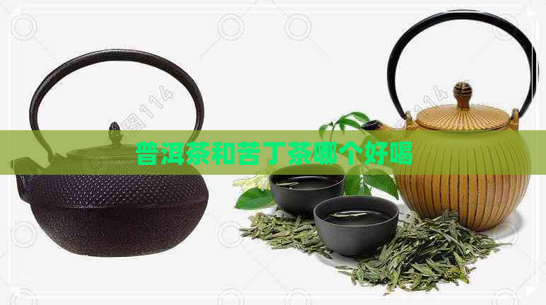 普洱茶和苦丁茶哪个好喝