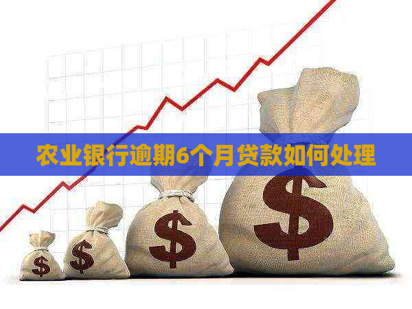 农业银行逾期6个月贷款如何处理