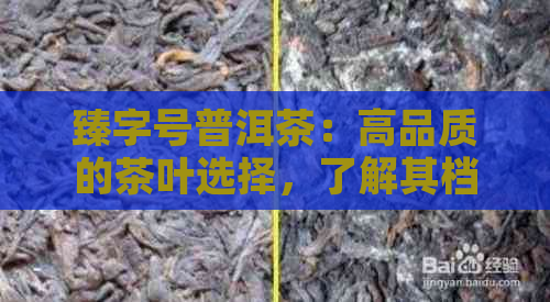 臻字号普洱茶：高品质的茶叶选择，了解其档次与特点