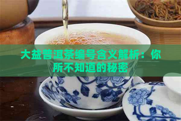 大益普洱茶编号含义解析：你所不知道的秘密