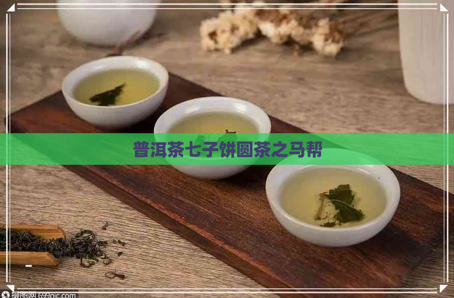 普洱茶七子饼圆茶之马帮