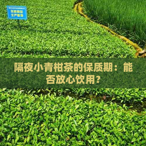 隔夜小青柑茶的保质期：能否放心饮用？