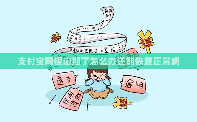 支付宝网银逾期了怎么办还能恢复正常吗