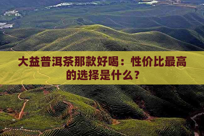 大益普洱茶那款好喝：性价比更高的选择是什么？