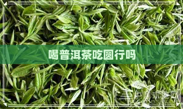 喝普洱茶吃圆行吗