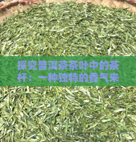 探究普洱茶茶叶中的茶杆：一种独特的香气来源