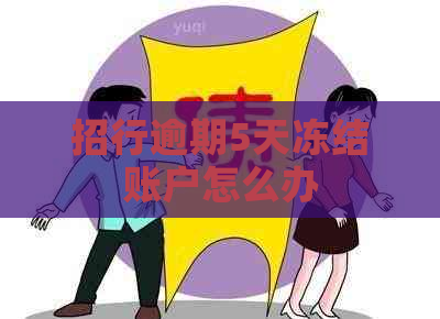 招行逾期5天冻结账户怎么办