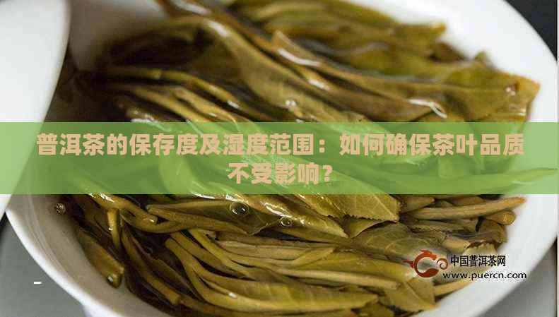 普洱茶的保存度及湿度范围：如何确保茶叶品质不受影响？