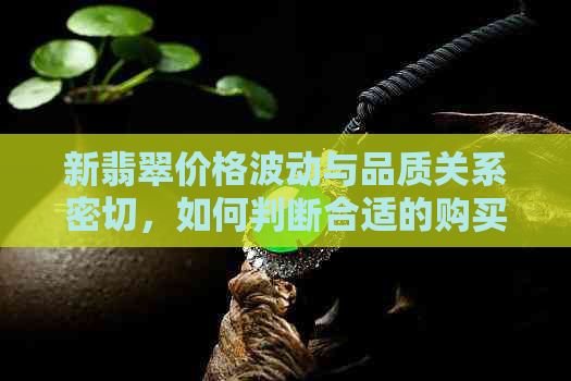 新翡翠价格波动与品质关系密切，如何判断合适的购买价位？