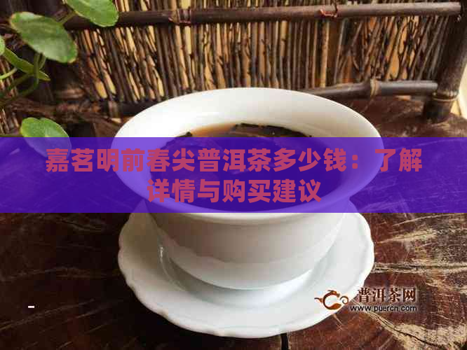 嘉茗明前春尖普洱茶多少钱：了解详情与购买建议