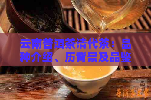 云南普洱茶清代茶：品种介绍、历背景及品鉴方法，全面了解普洱茶的知识