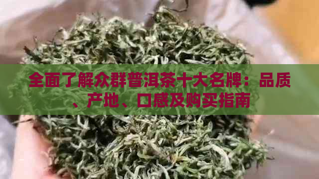 全面了解众群普洱茶十大名牌：品质、产地、口感及购买指南