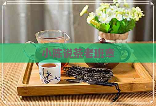 小陈说茶老班章