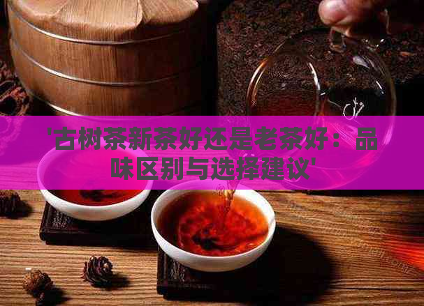 '古树茶新茶好还是老茶好：品味区别与选择建议'