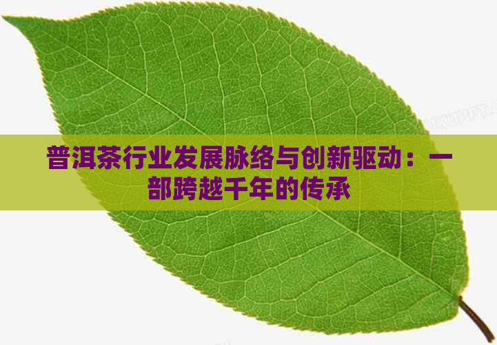 普洱茶行业发展脉络与创新驱动：一部跨越千年的传承