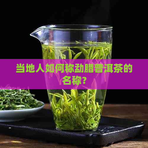 当地人如何称勐腊普洱茶的名称？