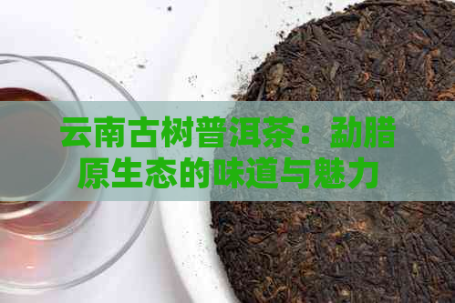 云南古树普洱茶：勐腊原生态的味道与魅力