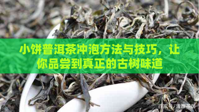 小饼普洱茶冲泡方法与技巧，让你品尝到真正的古树味道