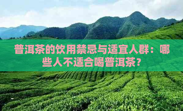 普洱茶的饮用禁忌与适宜人群：哪些人不适合喝普洱茶？