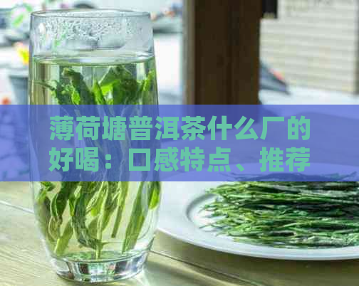 薄荷塘普洱茶什么厂的好喝：口感特点、推荐