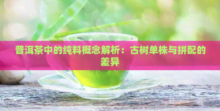 普洱茶中的纯料概念解析：古树单株与拼配的差异