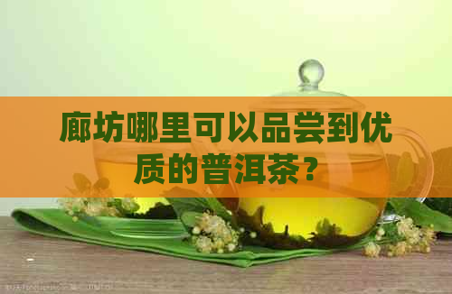 廊坊哪里可以品尝到优质的普洱茶？