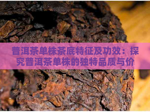 普洱茶单株茶底特征及功效：探究普洱茶单株的独特品质与价值