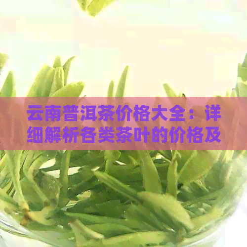 云南普洱茶价格大全：详细解析各类茶叶的价格及特点，助您轻松选购