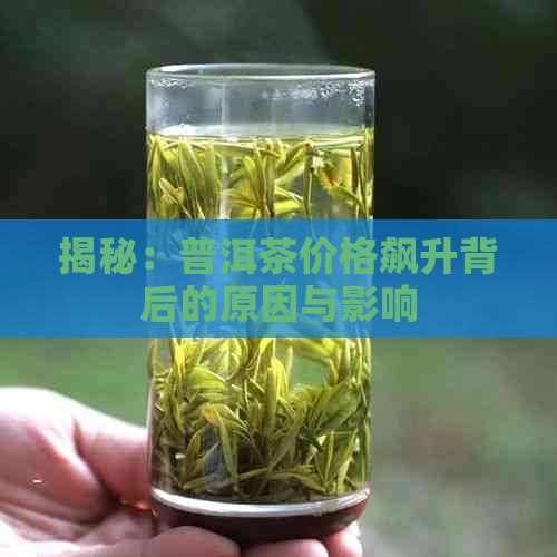 揭秘：普洱茶价格飙升背后的原因与影响