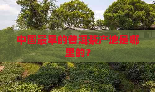中国最早的普洱茶产地是哪里的？