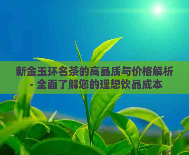 新金玉环名茶的高品质与价格解析 - 全面了解您的理想饮品成本