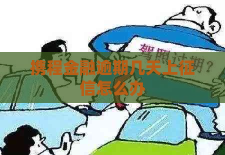 携程金融逾期几天上怎么办