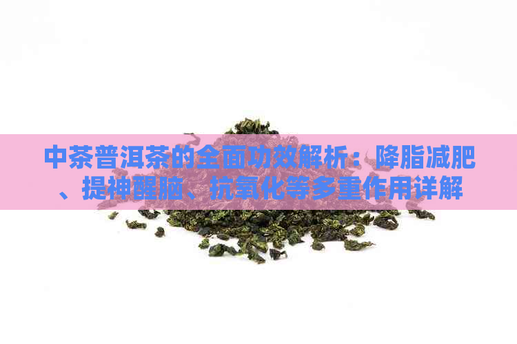 中茶普洱茶的全面功效解析：降脂减肥、提神醒脑、抗氧化等多重作用详解