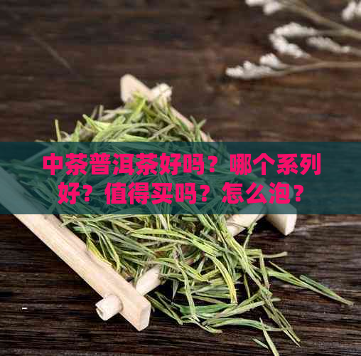 中茶普洱茶好吗？哪个系列好？值得买吗？怎么泡？