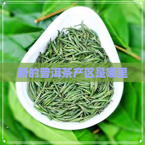 新的普洱茶产区是哪里