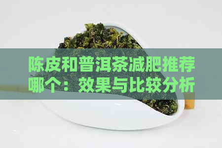 陈皮和普洱茶减肥推荐哪个：效果与比较分析