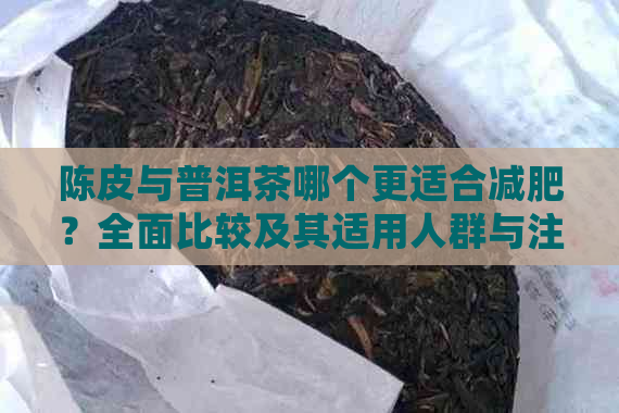 陈皮与普洱茶哪个更适合减肥？全面比较及其适用人群与注意事项