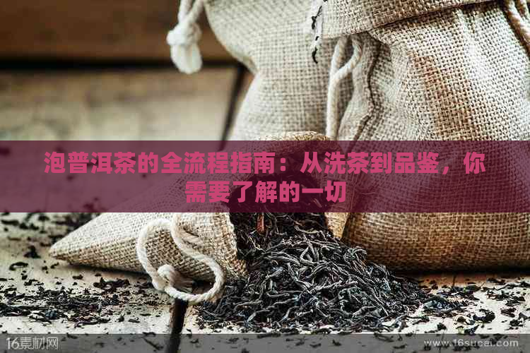 泡普洱茶的全流程指南：从洗茶到品鉴，你需要了解的一切