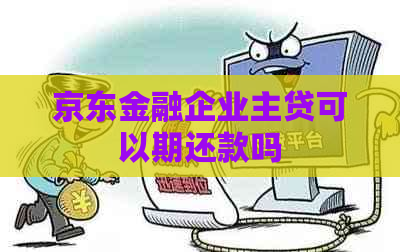 京东金融企业主贷可以期还款吗