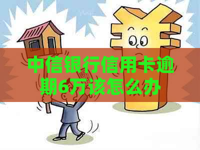 中信银行信用卡逾期6万该怎么办