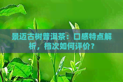 景迈古树普洱茶：口感特点解析，档次如何评价？