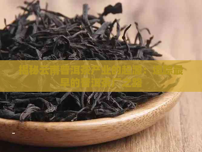 揭秘云南普洱茶产业的起源：追踪最早的普洱茶厂之路