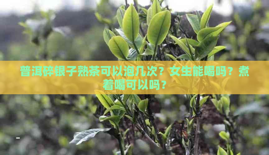 普洱碎银子熟茶可以泡几次？女生能喝吗？煮着喝可以吗？