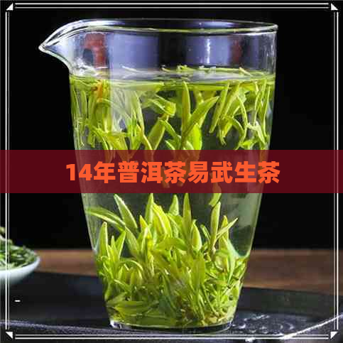 14年普洱茶易武生茶