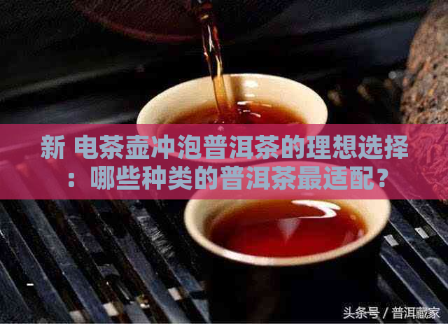 新 电茶壶冲泡普洱茶的理想选择：哪些种类的普洱茶最适配？