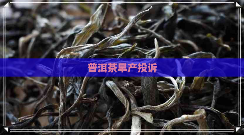 普洱茶早产投诉