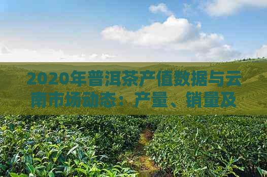 2020年普洱茶产值数据与云南市场动态：产量、销量及产值分析