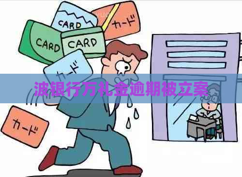 波银行万礼金逾期被立案