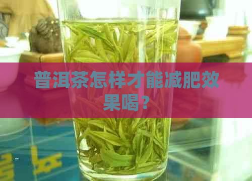 普洱茶怎样才能减肥效果喝？